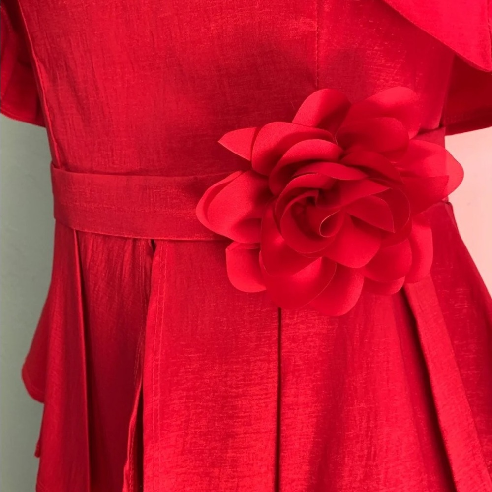 Dress - Picture 3 of 7